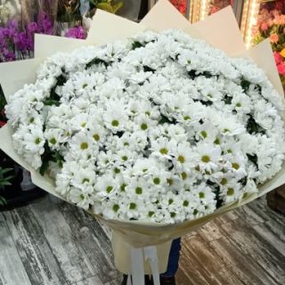 BÜYÜK PAPATYA BUKETİ.