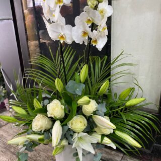 ORKİDE ARANJMANI 1